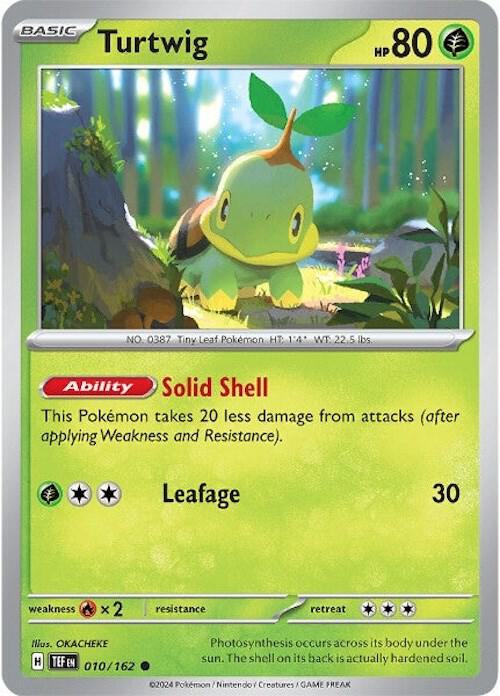 Turtwig #10 - Temporal Forces