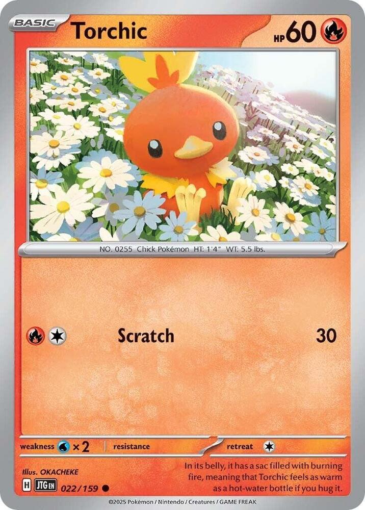 Torchic #22 - Journey Together
