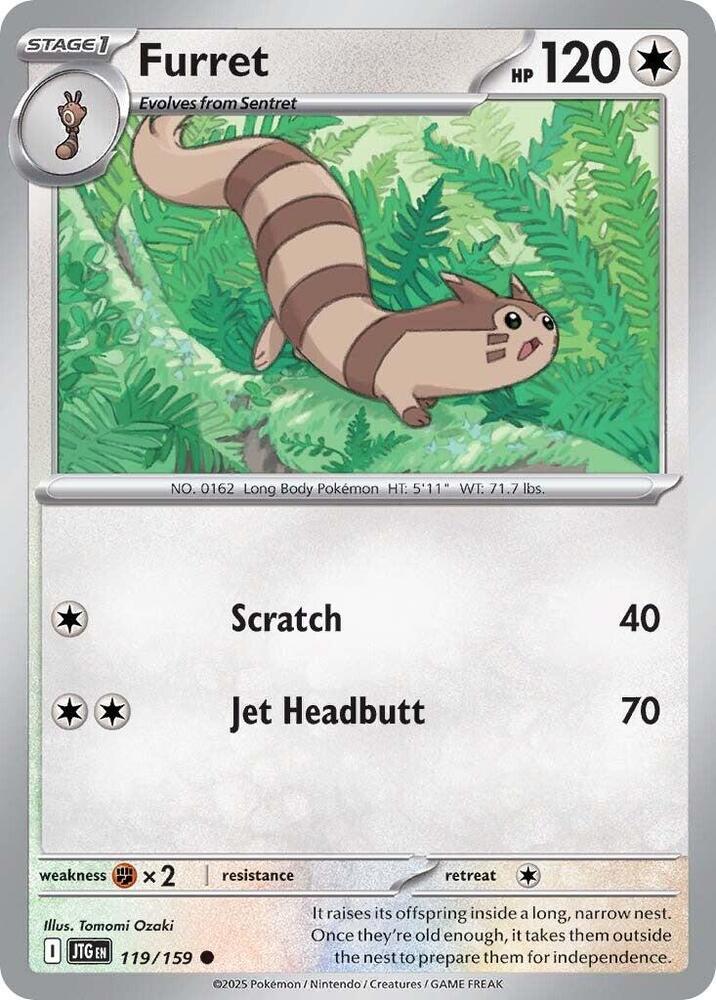Furret #119 - Journey Together