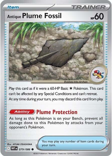 Antique Plume Fossil #79 - White Flare