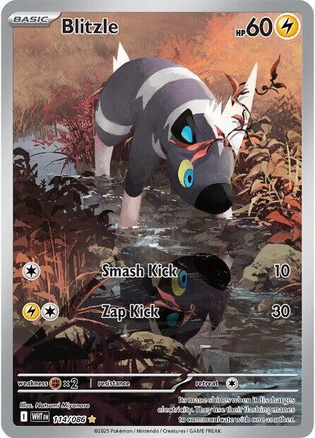 Blitzle #114 - White Flare