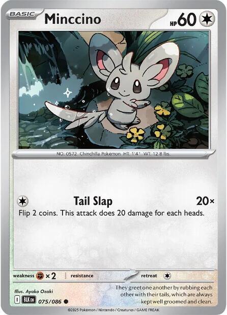 Minccino #75 - Black Bolt