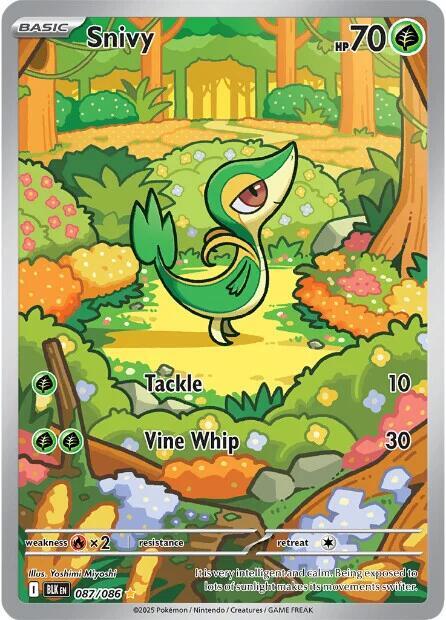 Snivy #87 - Black Bolt
