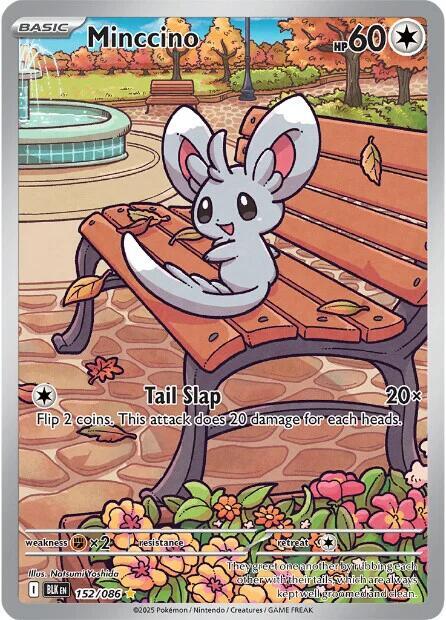 Minccino #152 - Black Bolt