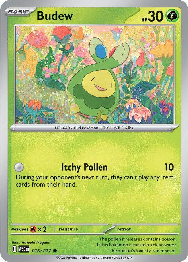 Budew #16 - Ascended Heroes