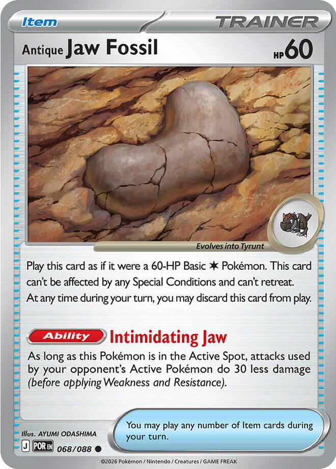 Antique Jaw Fossil #68 - Perfect Order