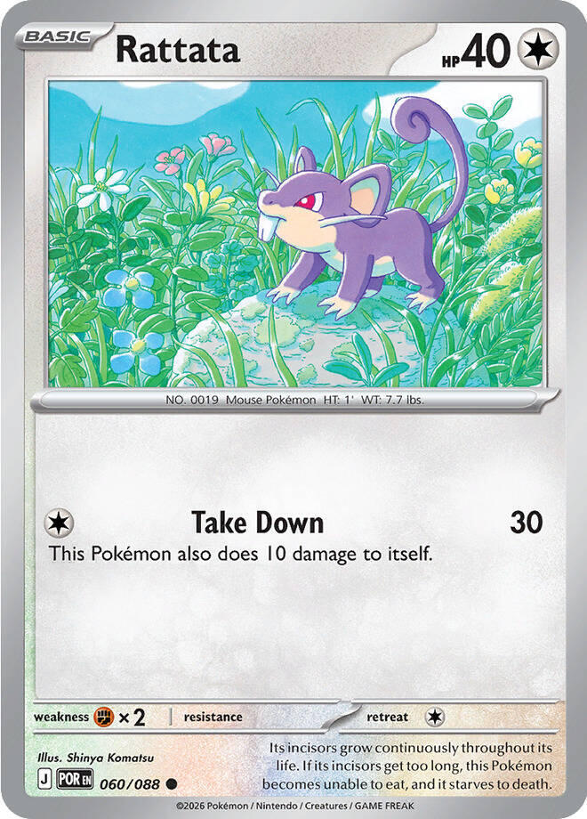 Rattata #60 - Perfect Order