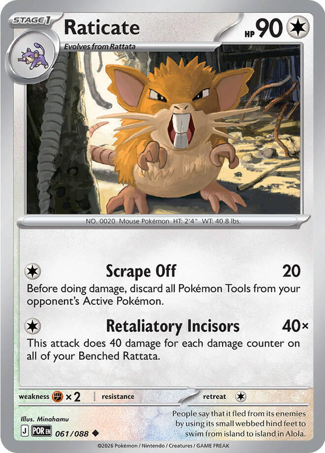 Raticate #61 - Perfect Order